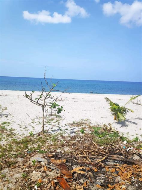 16 properties for sale in San Narciso, Zambales .